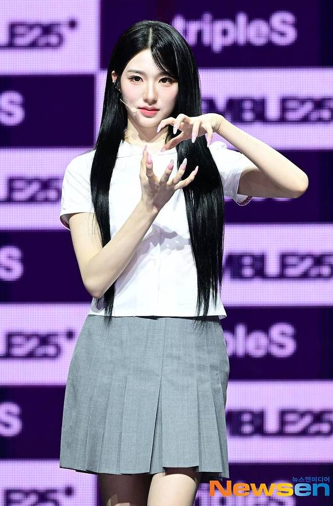 신위/뉴스엔DB