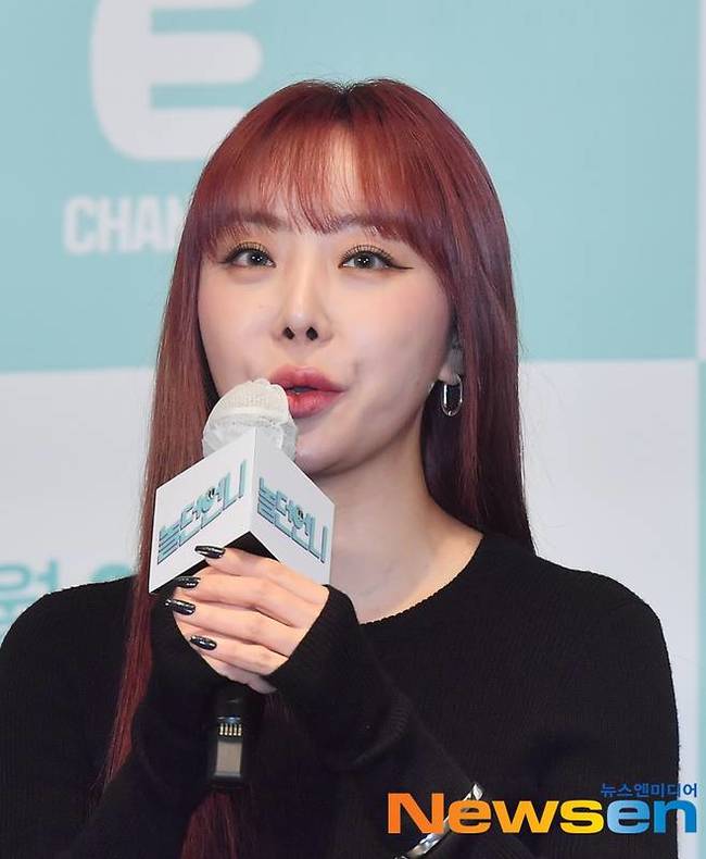 나르사(뉴스엔DB)