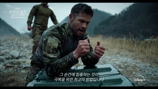월트디즈니 컴퍼니 코리아