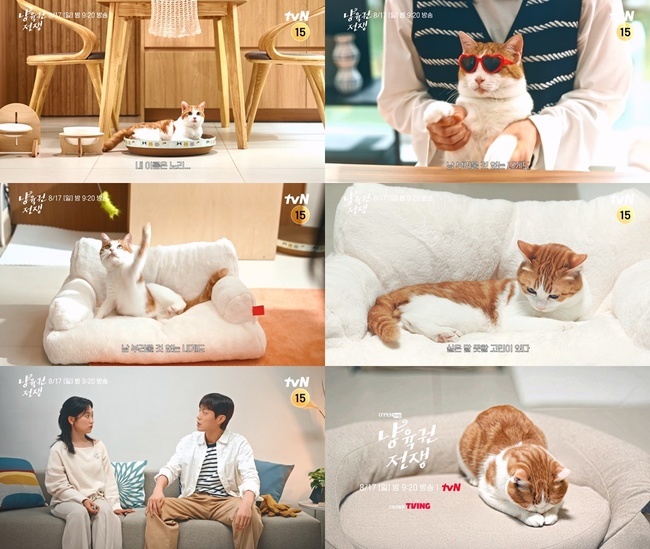 tvN 제공