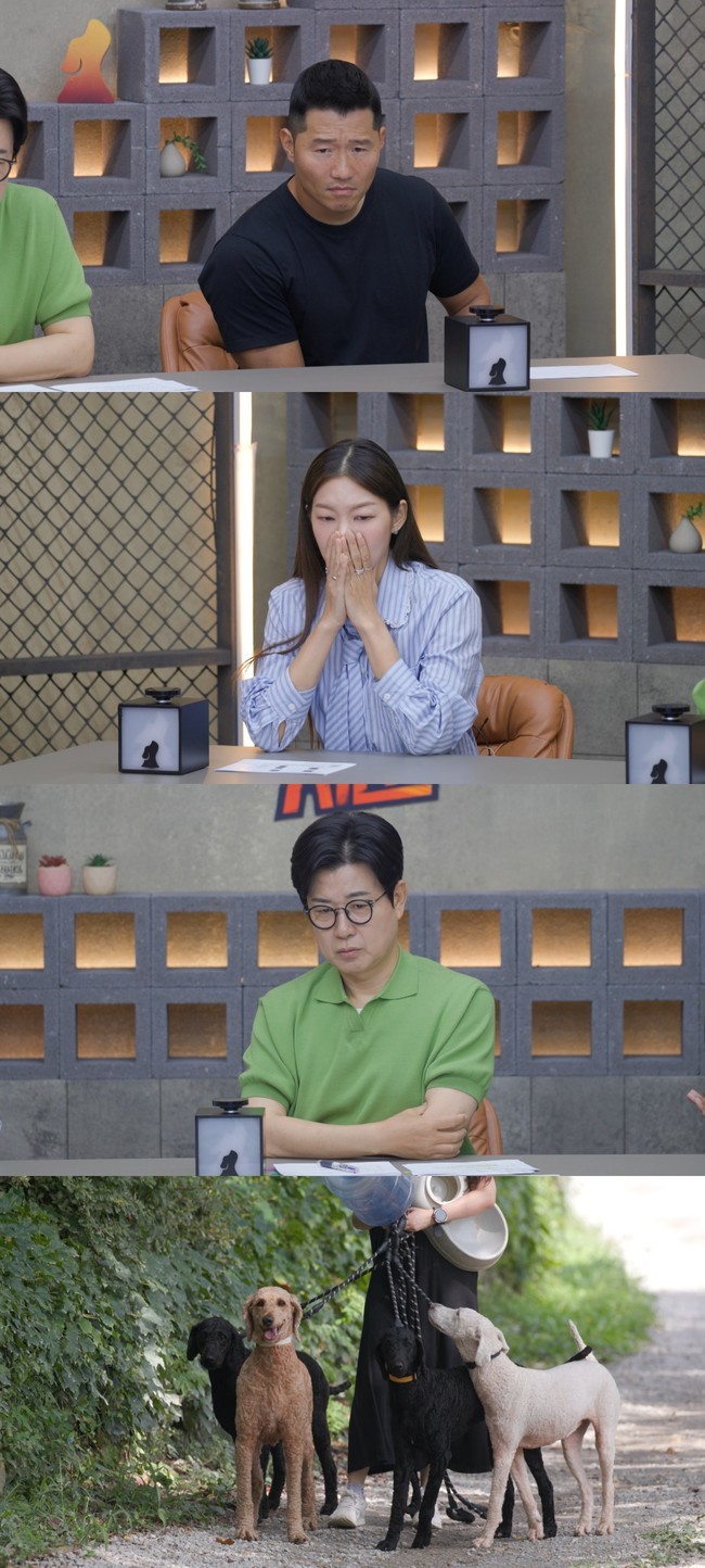 채널A 반려견 솔루션 예능 ‘개와 늑대의 시간’